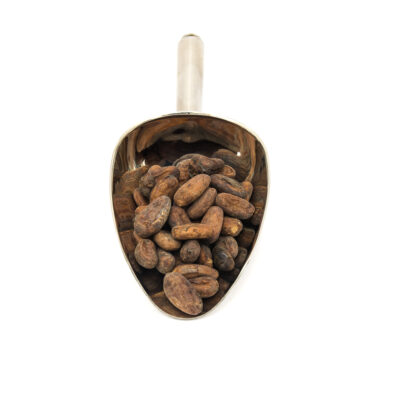 Nerezová lžíce s celými organickými nepraženými kakaovými boby.