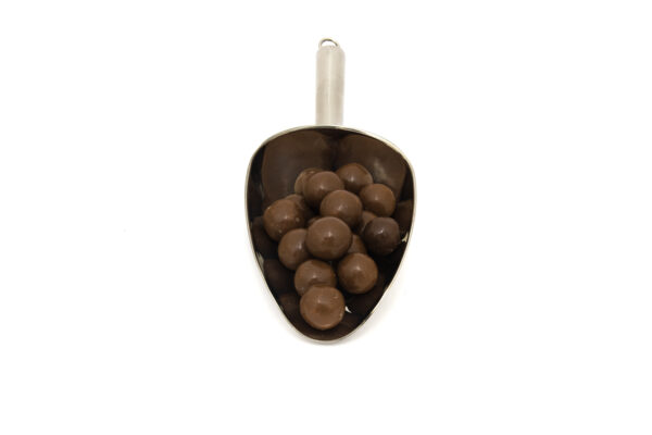 Nerezová lopatka s lískovými oříšky v mléčné 85% čokoládě.